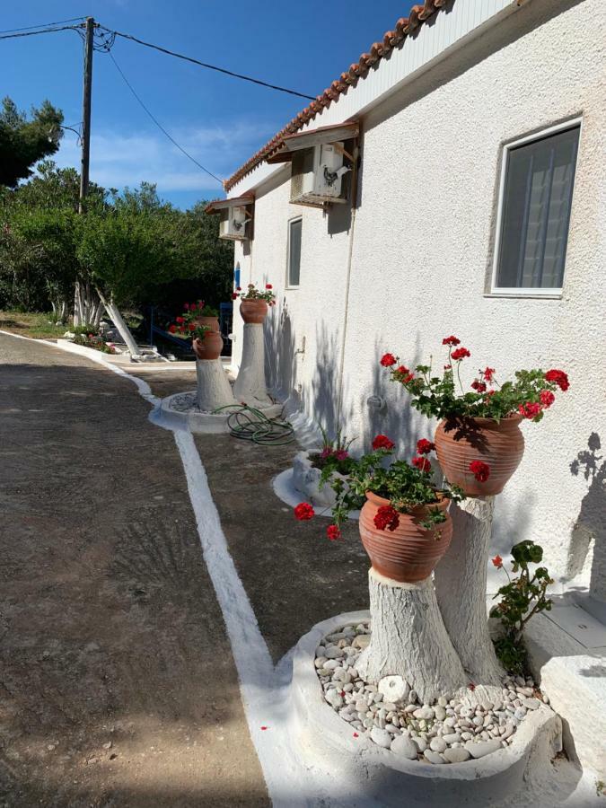 Apartmán B&D 1 Zóla Exteriér fotografie